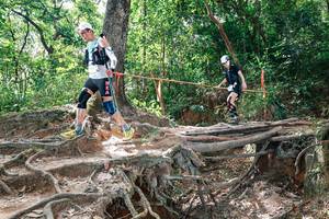 BIB: 
                            <button type="button" onclick="openModal(27721934)" class="btn btn-primary btn-sm float-right btn-popup" data-toggle="modal" data-target=".modal-high-quality">
                        <i class="fas fa-shopping-cart"></i> Add to Cart
                    </button>
                                            <button type="button" onclick="isThisMe(27721934, true)" class="btn btn-success btn-sm float-right btn-popup btn-isme hidden" data-toggle="tooltip" data-placement="bottom" title="นี่คือรูปของคุณใช่ไหม คลิกที่นี่เพื่อเอาเข้าอัลบั้ม">
                        <i class="fas fa-plus"></i> Add to album
                    </button>
                    <button type="button" onclick="isThisMe(27721934, false)" class="btn btn-warning btn-sm float-right btn-popup btn-isnotme hidden">
                        <i class="fas fa-ban"></i> Remove from album
                    </button>